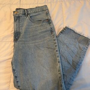 Express Blue Ankle Cropped Jeans